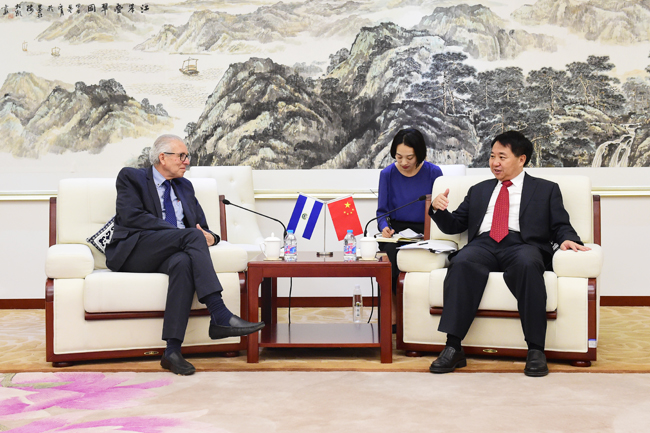 罗文会见萨尔瓦多总统府技术与规划秘书处副国务秘书恩里克斯