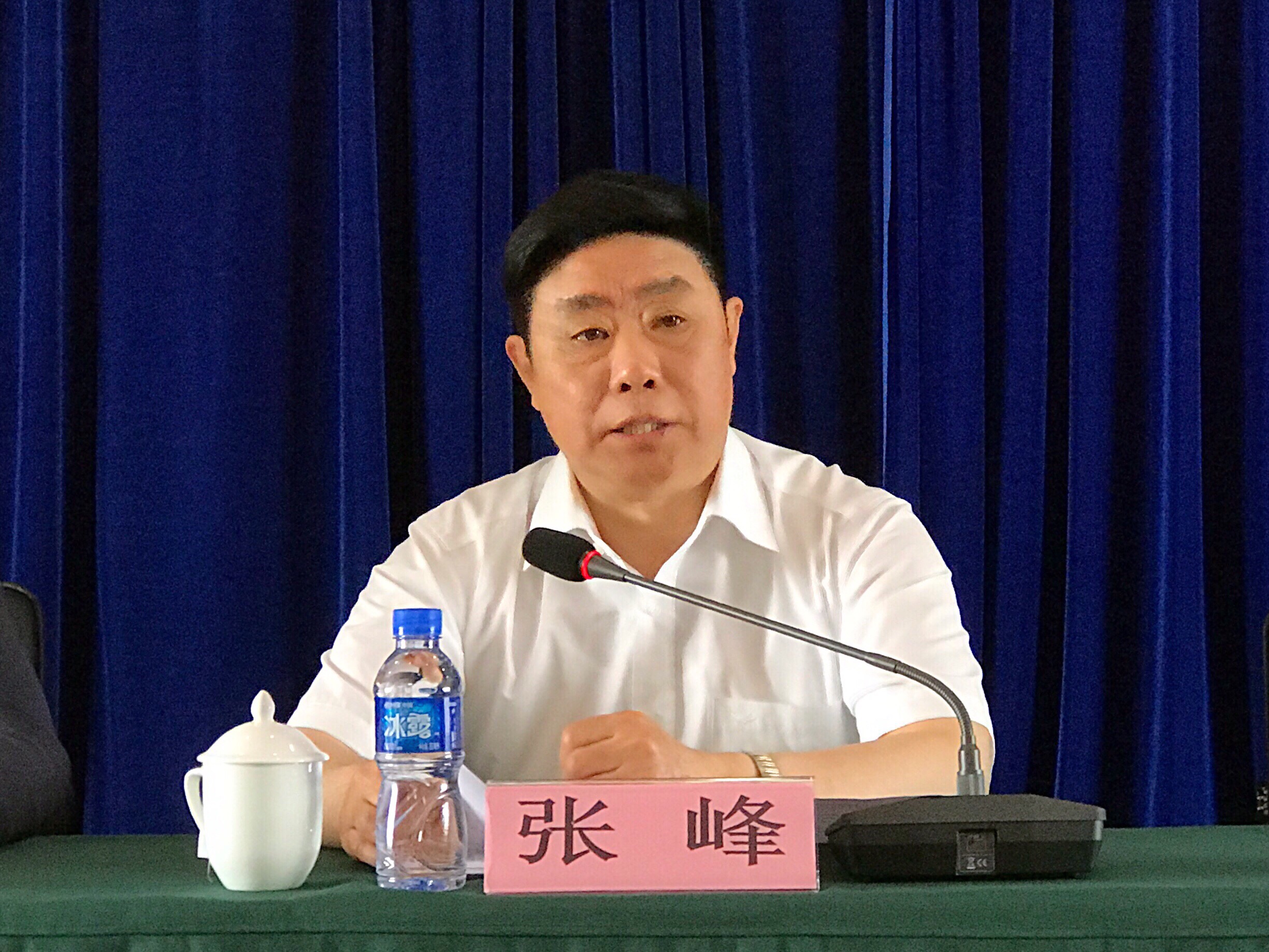 张峰出席2017年全国产业政策工作座谈会