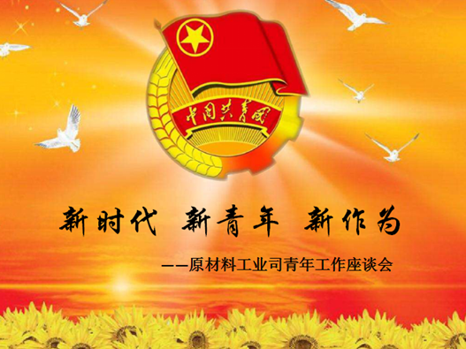 原材料工业司党支部召开主题为新时代 新青年