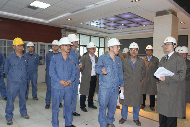 履行《禁止化学武器使用公约》工作