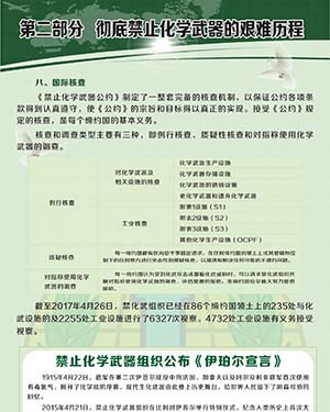 5 第二部分 彻底禁止化学武器的艰难历程